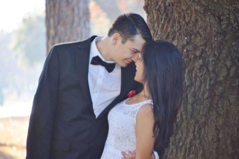 Happily Ever After