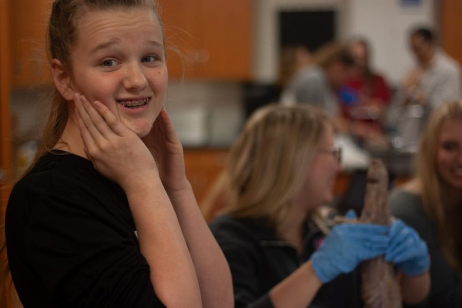 Kaitlyn Dunlap dissecting a mink.