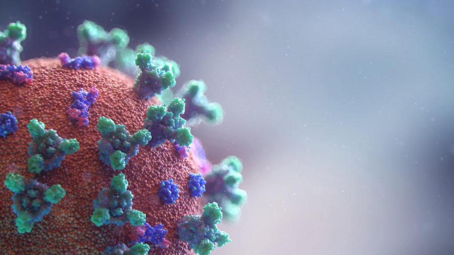 Importance+of+time+hits+home+with+Nanas+passing%2C+coronavirus