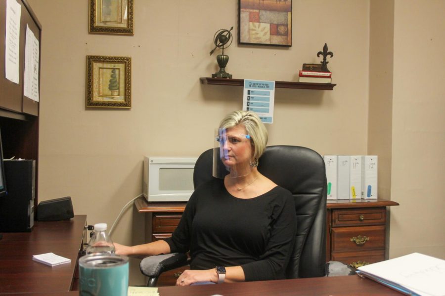 Dr. Wendy Risner working at her desk.  