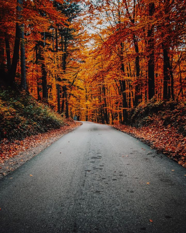 Fall is many peoples season because of family, foliage and football. 